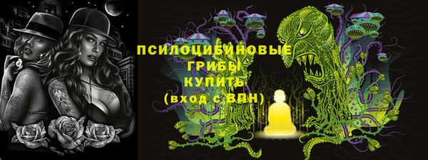 МДПВ Абаза