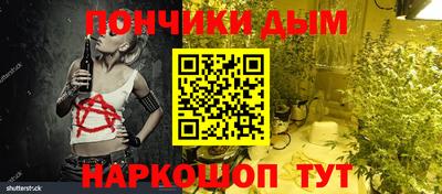 индика Рузаевка