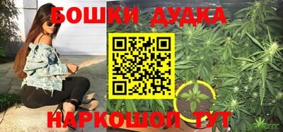 индика Рузаевка