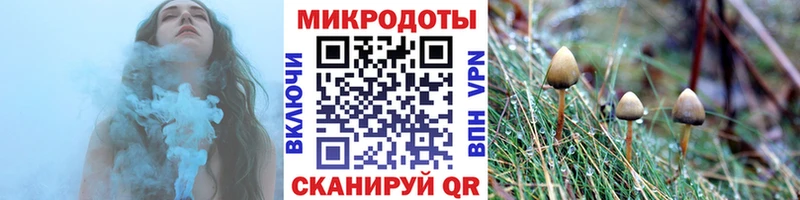 купить   Хасавюрт  Галлюциногенные грибы GOLDEN TEACHER 