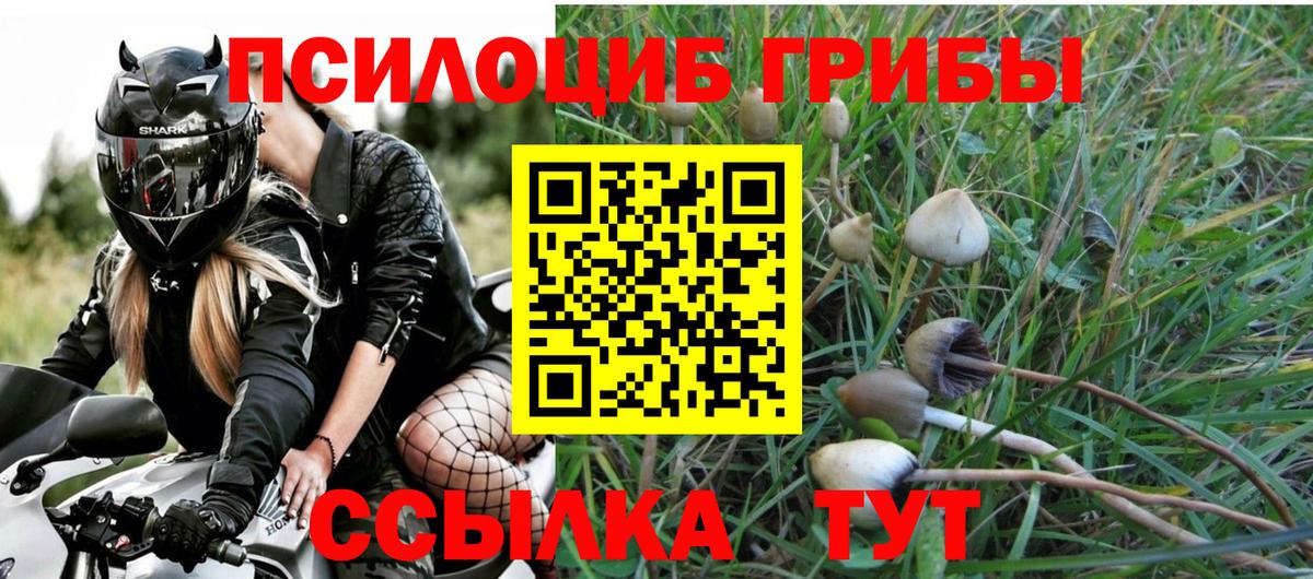 Галлюциногенные грибы Cubensis Хасавюрт