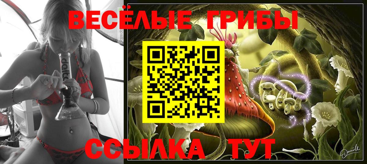 Псилоцибиновые грибы Psilocybe  Вход с VPN  Хасавюрт 