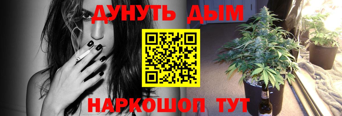 Канабис марихуана  Канабис сатива  Каннабис Bruce Banner  Вход с VPN  Хасавюрт 